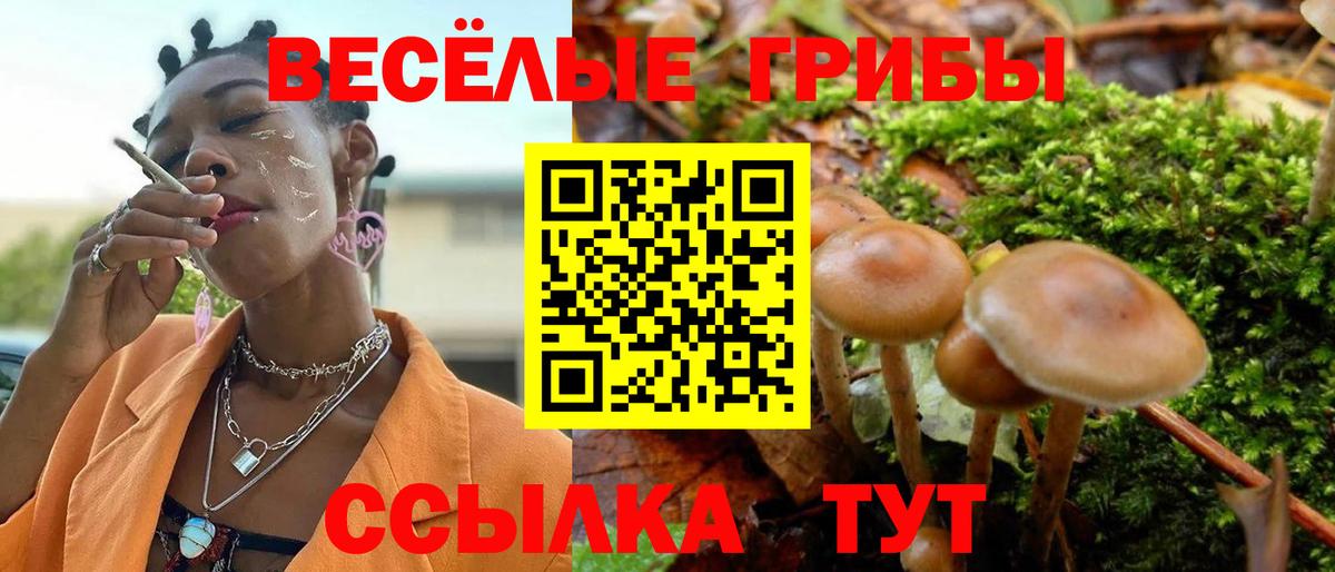 Мефедрон Калининград