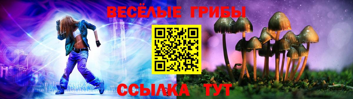 Галлюциногенные грибы Magic Shrooms  Вход с VPN  Калининград 